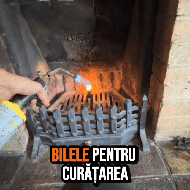 Bile pentru curatarea cosurilor